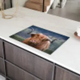 Schotse Hooglander - Koeienkop - Landschap - Natuur - Koe Inductie beschermer vinyl 3mm klein -sfeer8