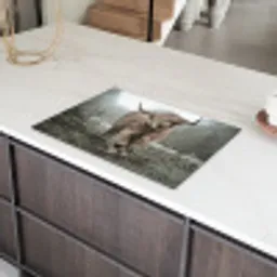 Schotse Hooglander - Bos - Mist - Koe - Dieren - Natuur Inductie beschermer vinyl 3mm klein -sfeer8