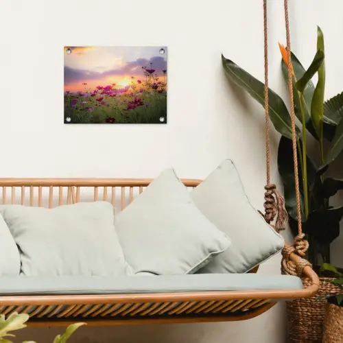 Bloemen - Roze - Zonsondergang - Natuur - Weide - Horizon tuinposter los doek klein -sfeer7