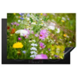 Bloemen - Natuur - Groen - Gras - Paars - Wit Inductie beschermer vinyl 3mm klein -3d