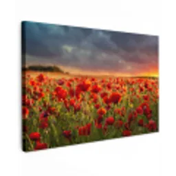 Zonsondergang - Klaprozen - Rood - Bloemen - Veld - Natuur Tuinposter op houten frame 2 cm dik klein -3d