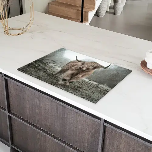 Schotse Hooglander - Bos - Mist - Koe - Dieren - Natuur Inductie beschermer vinyl 3mm klein -sfeer8