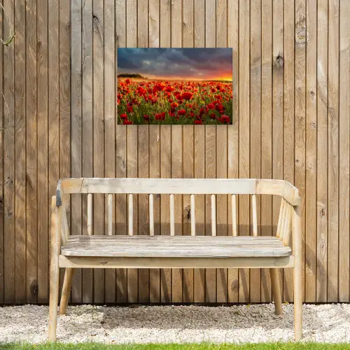 Zonsondergang - Klaprozen - Rood - Bloemen - Veld - Natuur Tuinposter op houten frame 2 cm dik klein -sfeer4