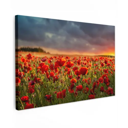 Zonsondergang - Klaprozen - Rood - Bloemen - Veld - Natuur Tuinposter op houten frame 2 cm dik klein -3d