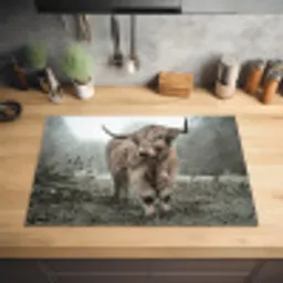 Schotse Hooglander - Bos - Mist - Koe - Dieren - Natuur Inductie beschermer vinyl 3mm klein -sfeer5