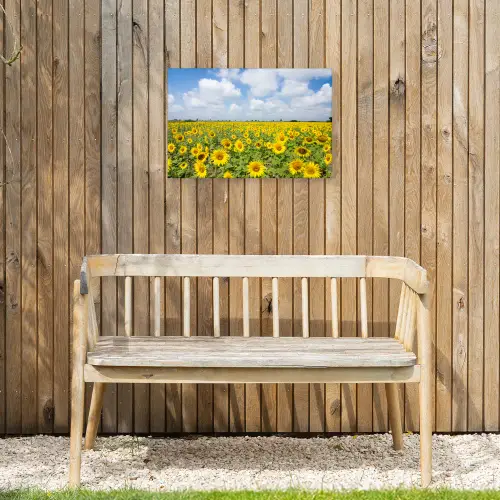 Zonnebloemen - Bloemen - Wolken - Natuur - Geel - Landschap Tuinposter op houten frame 2 cm dik klein -sfeer4