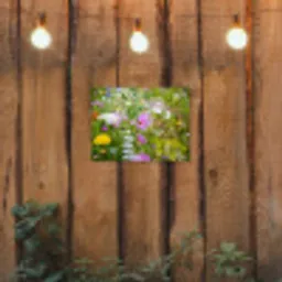 Bloemen - Natuur - Groen - Gras - Paars - Wit tuinposter los doek klein -sfeer1