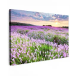 Bloemen - Lavendel - Paars - Lucht - Zonsondergang - Weide - Natuur Tuinposter op houten frame 2 cm dik klein -3d
