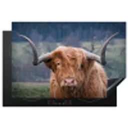 Schotse Hooglander - Koeienkop - Landschap - Natuur - Koe Inductie beschermer vinyl 3mm klein -3d