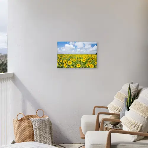 Zonnebloemen - Bloemen - Wolken - Natuur - Geel - Landschap Tuinposter op houten frame 2 cm dik klein -sfeer1