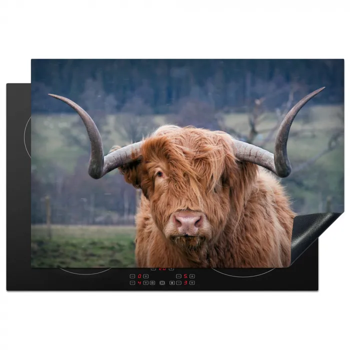Schotse Hooglander - Koeienkop - Landschap - Natuur - Koe Inductie beschermer vinyl 3mm klein -3d