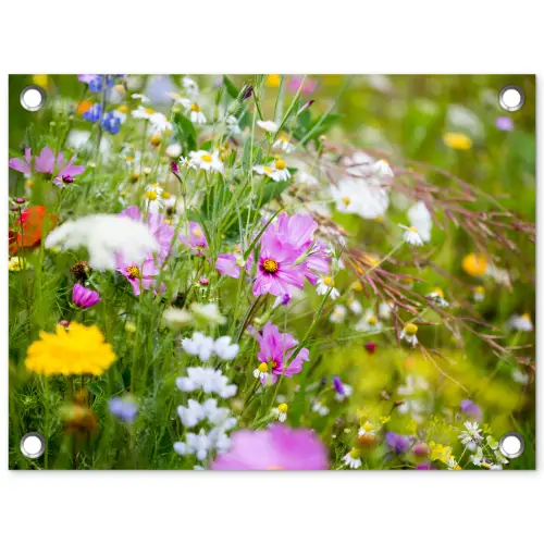 Bloemen - Natuur - Groen - Gras - Paars - Wit tuinposter los doek klein -3d