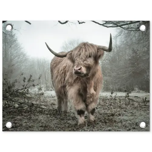 Schotse Hooglander - Bos - Mist - Koe - Dieren - Natuur tuinposter los doek klein -3d