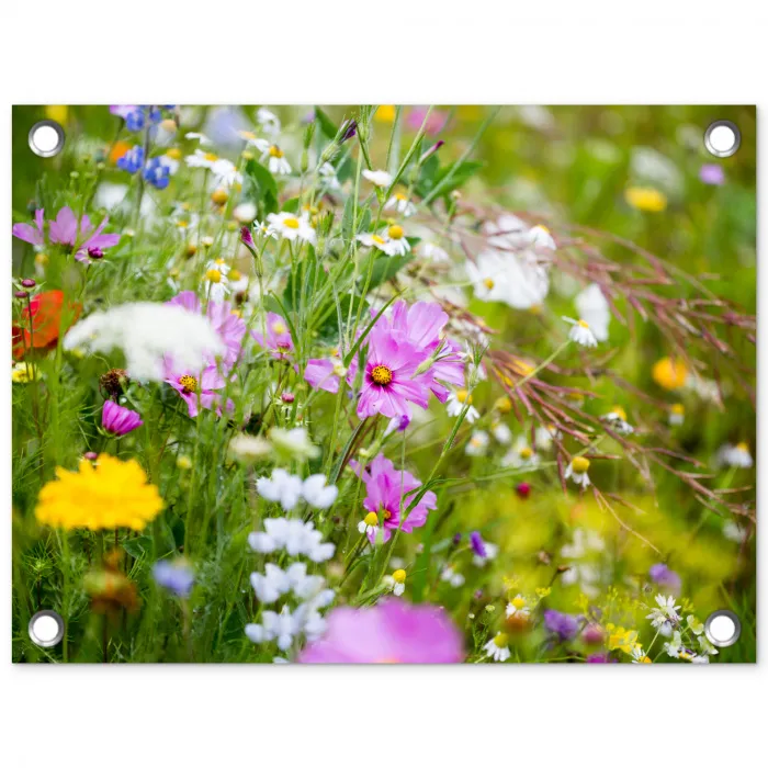 Bloemen - Natuur - Groen - Gras - Paars - Wit tuinposter los doek klein -3d