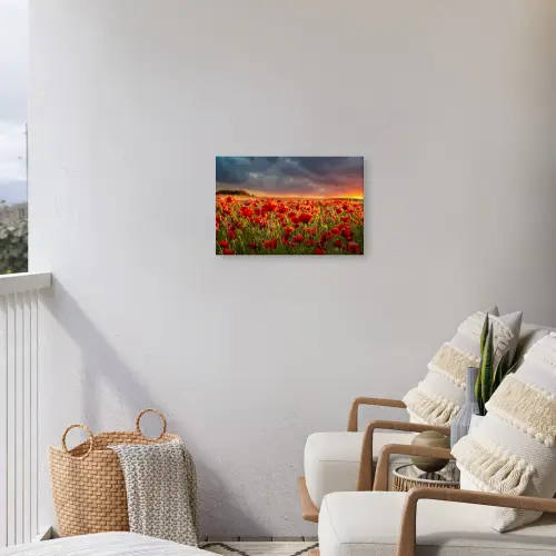 Zonsondergang - Klaprozen - Rood - Bloemen - Veld - Natuur Tuinposter op houten frame 2 cm dik klein -sfeer1
