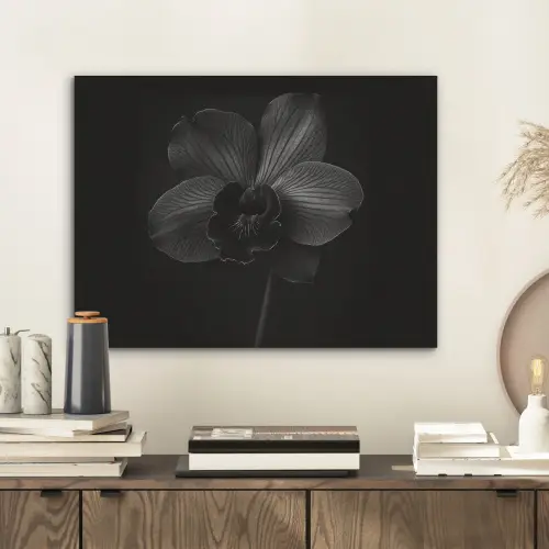 Zwart - Bloem - Orchidee PET vilt klein -sfeer1