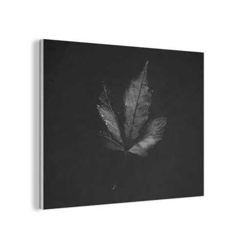 Zwart - Blad PET vilt klein -3d
