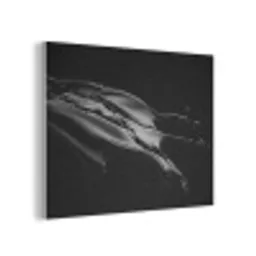 Zwart - Splash - Water PET vilt klein -3d