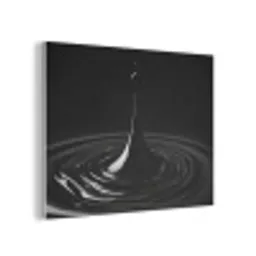 Zwart - Water - Druppel PET vilt klein -3d