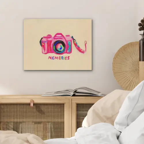 Camera - Memories - Roze - Geschilderd PET vilt klein -sfeer3
