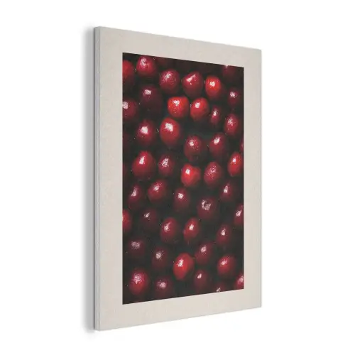 Kersen - Rood PET vilt klein -3d