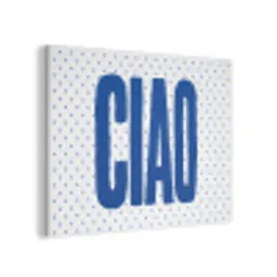 Ciao - Blauw - Stippen PET vilt klein -3d