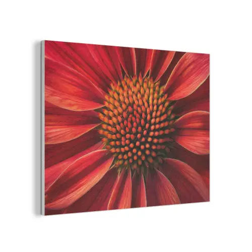 Close up - Bloem- Rood PET vilt klein -3d