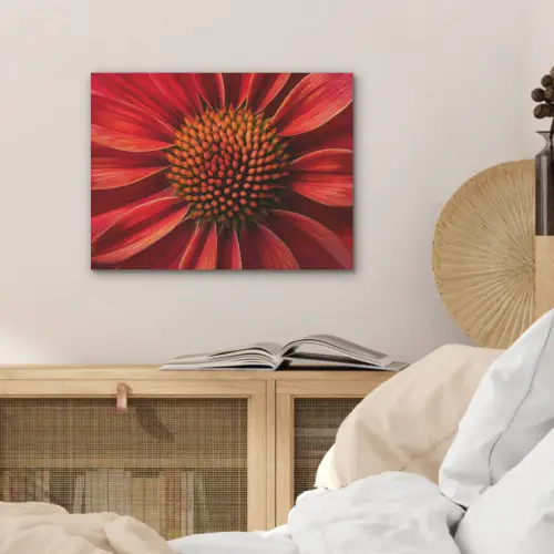 Close up - Bloem- Rood PET vilt klein -sfeer3