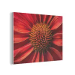 Close up - Bloem- Rood PET vilt klein -3d