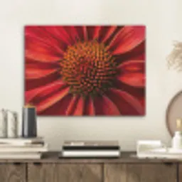 Close up - Bloem- Rood PET vilt klein -sfeer1
