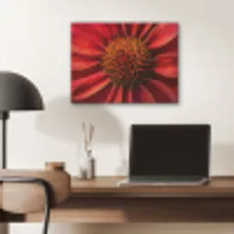 Close up - Bloem- Rood PET vilt klein -sfeer5