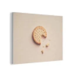 Koekje - Kruimels - beige PET vilt klein -3d