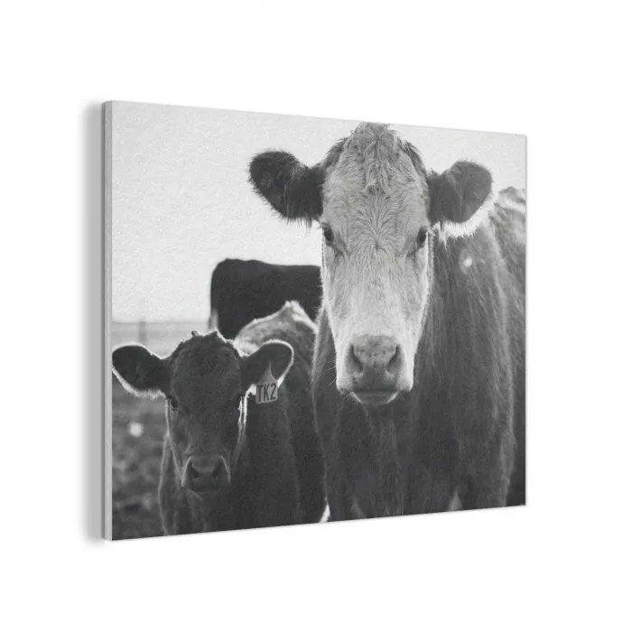 Koeien - Zwart - Wit PET vilt klein -3d