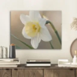 Narcis - Bloem - Minimalistisch PET vilt klein -sfeer1