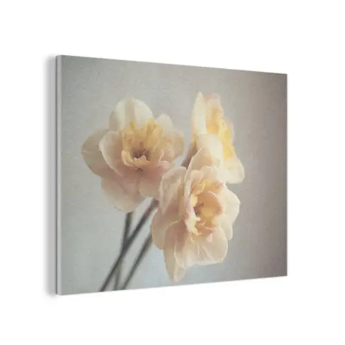 Narcissen - Geel - Bloemblaadjes PET vilt klein -3d