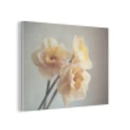 Narcissen - Geel - Bloemblaadjes PET vilt klein -3d