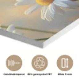 Madeliefjes - Wit - Zonlicht PET vilt klein -closeup_NL