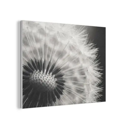 Paardenbloem - Zwart - Wit PET vilt klein -3d