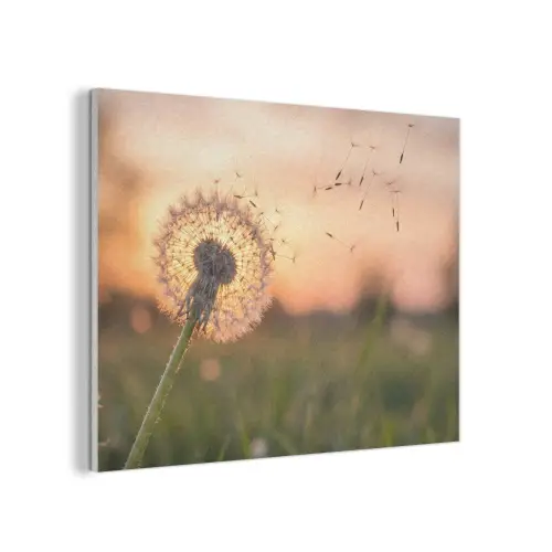 Paardenbloem - Zonsondergang - Veld PET vilt klein -3d