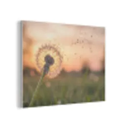 Paardenbloem - Zonsondergang - Veld PET vilt klein -3d