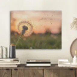 Paardenbloem - Zonsondergang - Veld PET vilt klein -sfeer1