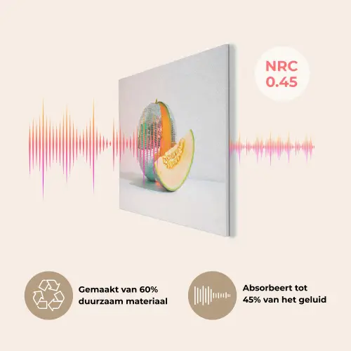 Disco - Discobal - Meloen - Pastel PET vilt klein -USP_NL