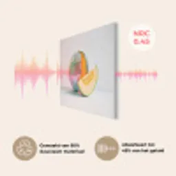 Disco - Discobal - Meloen - Pastel PET vilt klein -USP_NL