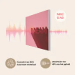 Dream - 3D - Rood - Roze PET vilt klein -USP_NL