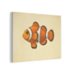 Vis - Oranje - Strepen PET vilt klein -3d
