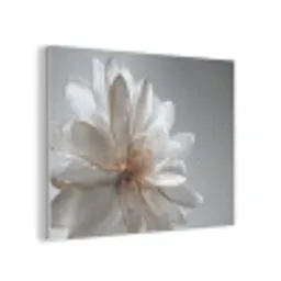 Bloem - Wit - Neutraal PET vilt klein -3d