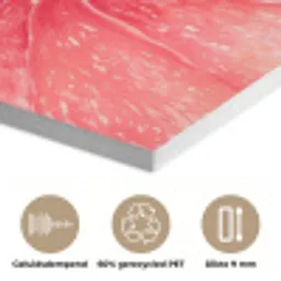 Grapefruit - Roze - Levendig PET vilt klein -closeup_NL