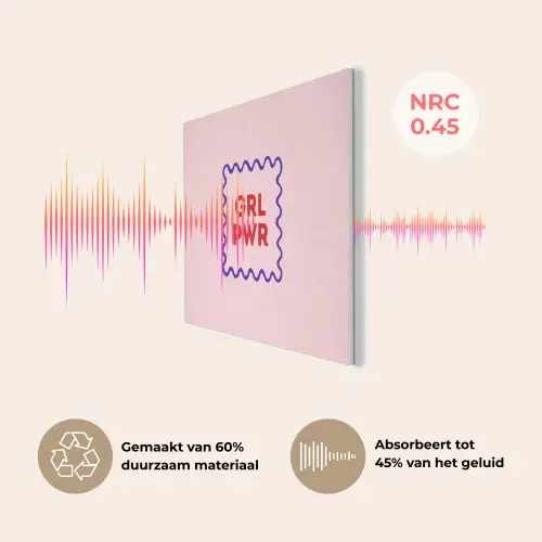 Grl pwr - Roze - Kader PET vilt klein -USP_NL