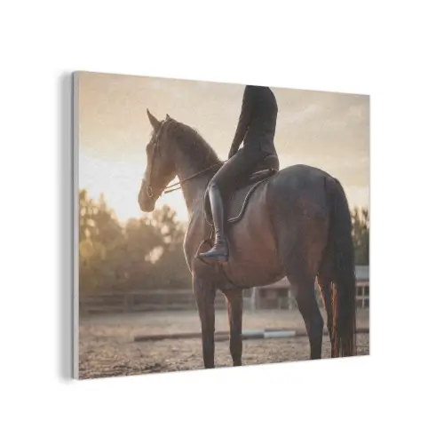 Harmonie - Ruiter - Zon PET vilt klein -3d