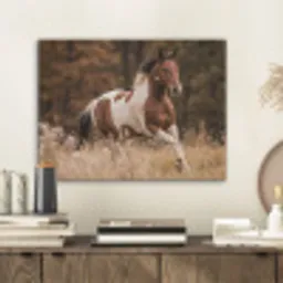 Paard - Bruin - Gras PET vilt klein -sfeer1